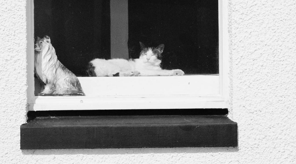 Totally dissimilar neighbors can occupy the very same space peacefully. It doesn't matter who is fake and who is not. Neither is more right or more wrong.